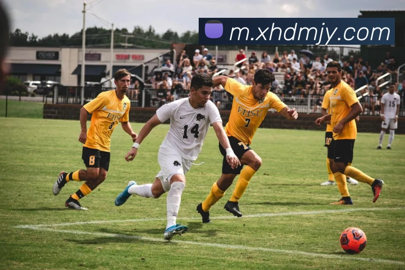 九游体育APP 高清赛事图